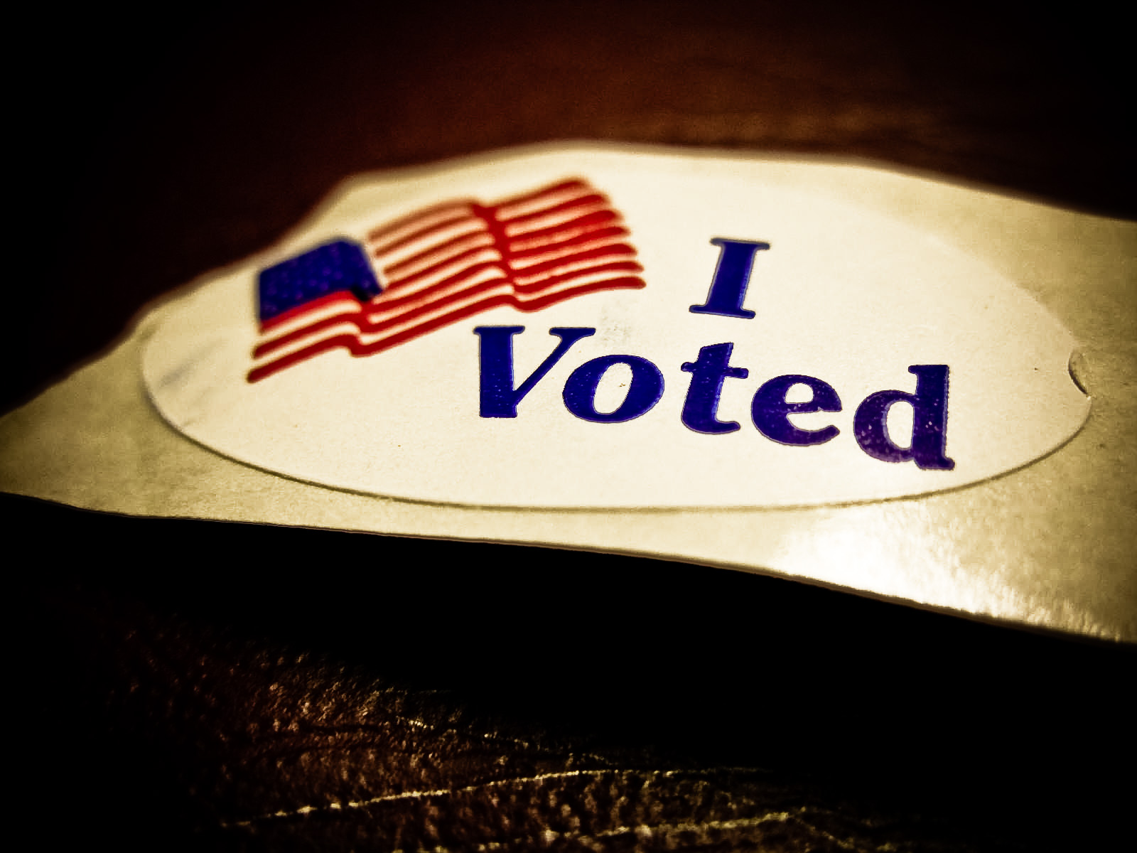 voting-as-a-collective-action-problem-niskanen-center