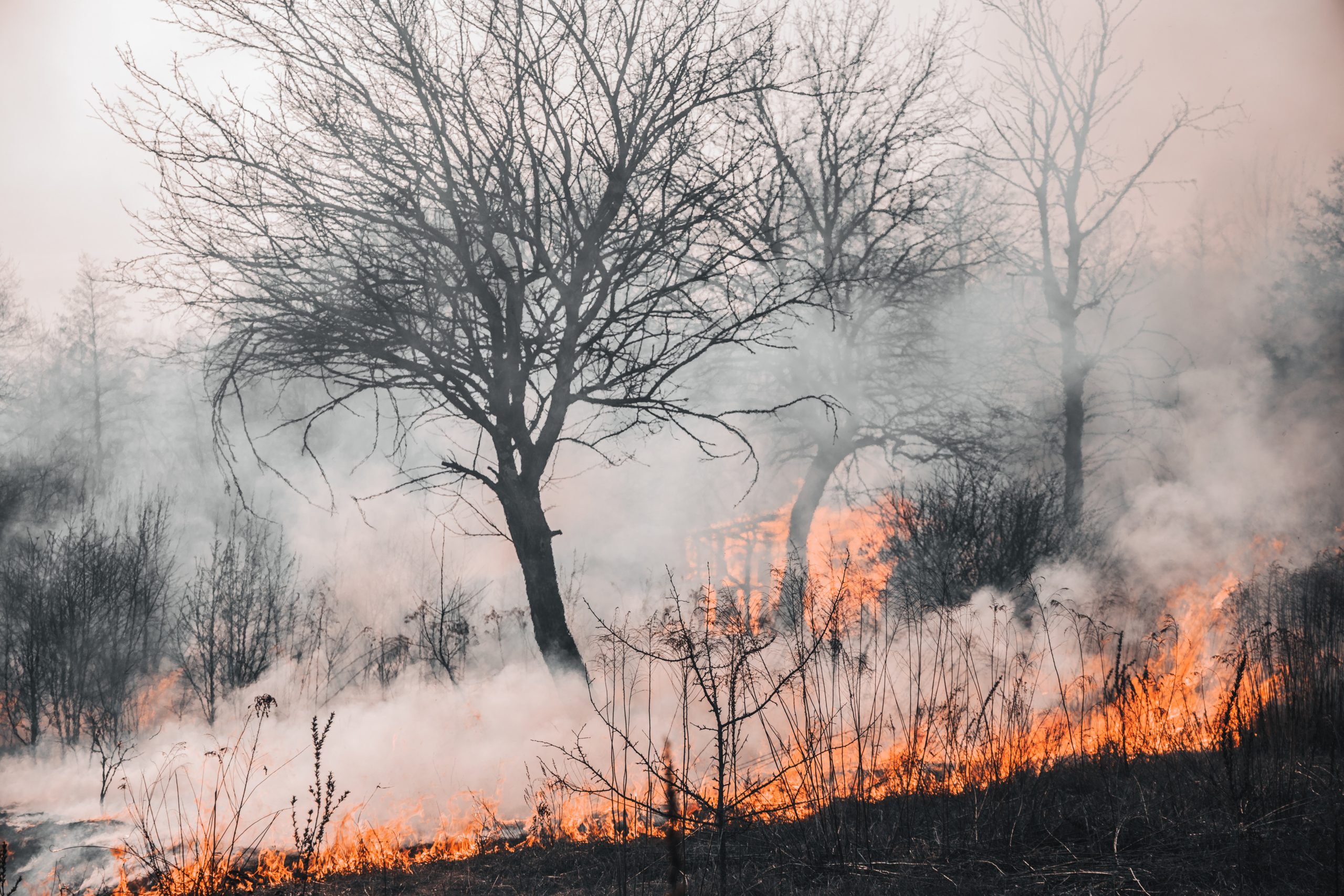 new-cbo-report-projection-of-long-term-climate-change-effects-on-u-s