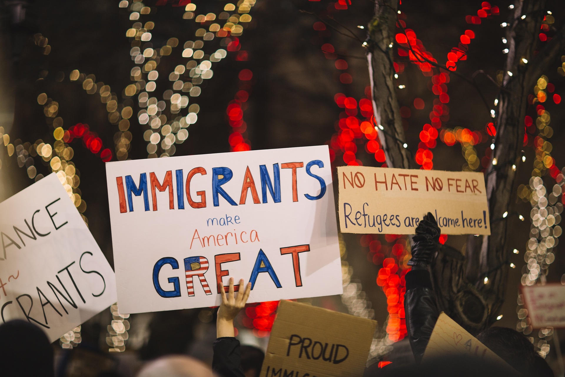 Values and Racism in American Immigration Views - Niskanen Center